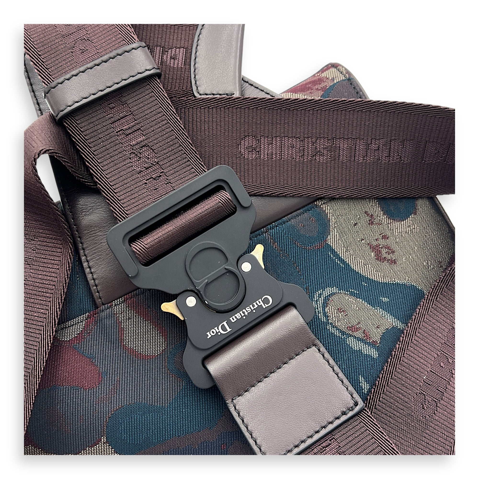 Saddle Crossbody Bag Peter Doig Collaboration in Canvas, Silver hardware - Image 10